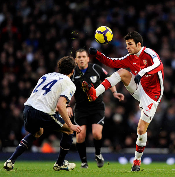 在本土举办 在本土举办