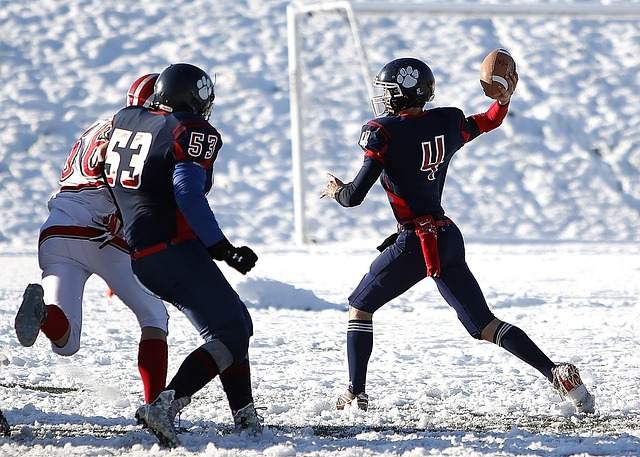 在足球转会 在足球转会
